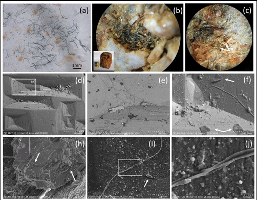 Это поразительно! В минералах из украинского кварцевого месторождения нашли микробы возрастом 1,5 млрд лет
